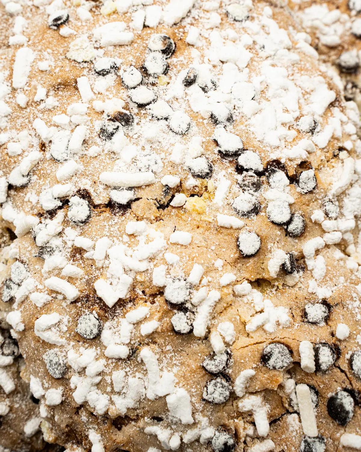 Colomba al Cioccolato